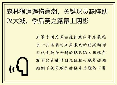森林狼遭遇伤病潮,关键球员缺阵助攻大减,季后赛之路蒙上阴影